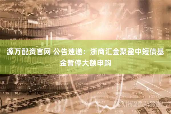 源万配资官网 公告速递：浙商汇金聚盈中短债基金暂停大额申购